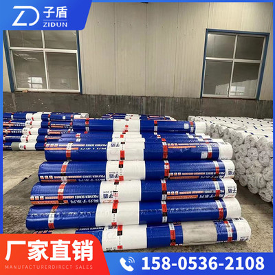 子盾建筑防水卷材產(chǎn)品銷(xiāo)售策略與市場(chǎng)前景分析